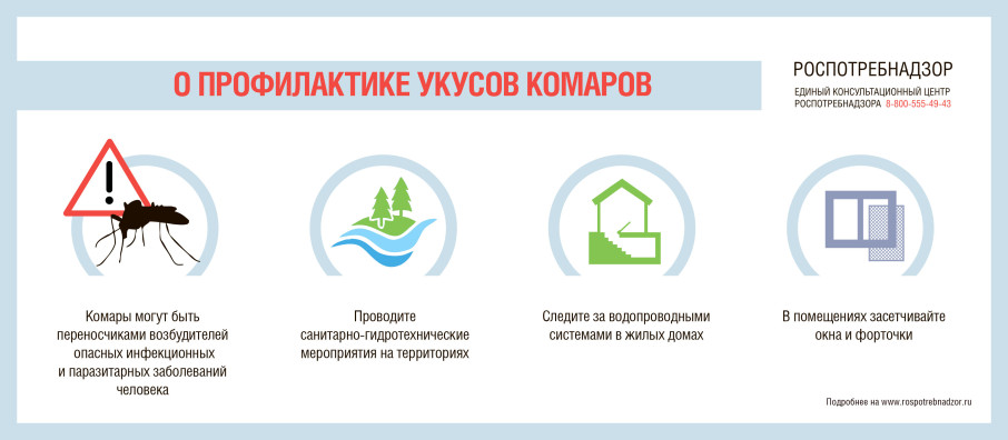 О профилактике укусов от комаров О профилактике укусов от комаров.